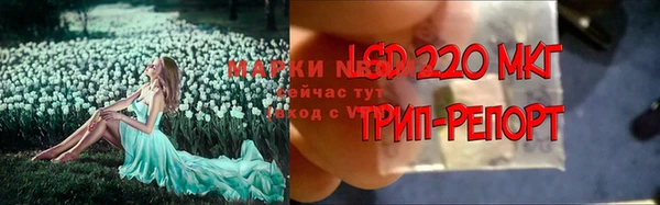 мяу мяу мука Арсеньев